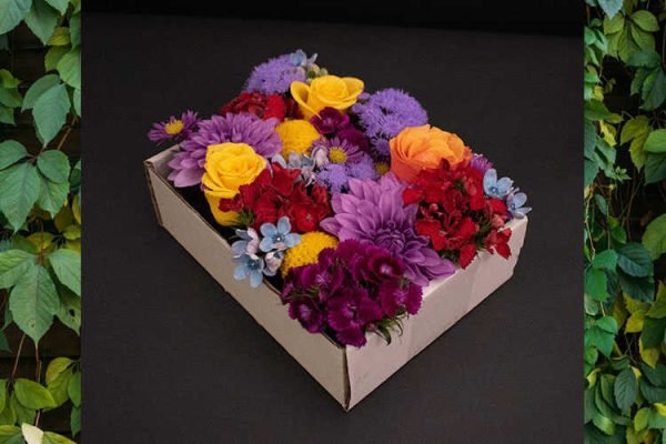 גודל-מותאם-חדש-מרמלדה-artboard-15_optimized